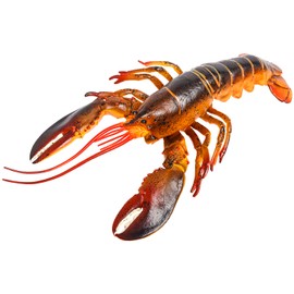 Hiawbon 13 Inch Realistic Lobster Figure - Plastic Lobster Figurine for Home Desktop Decoration
