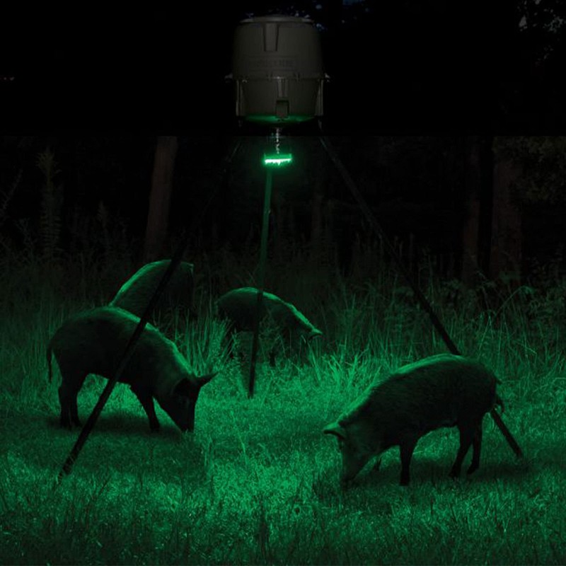 Moultrie Feeder Hog Light - 35 Green LEDs, 30-Foot Illumination,