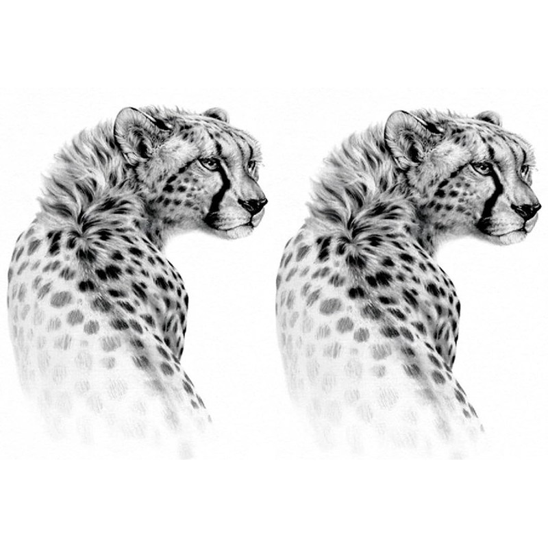 2 Blätter Temporary Leopard Tattoo Gepard Tattoo Tier Tattoo TH227x2