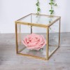 Gold Edge Geometric Glass Plant Planter Succulent Plants Container Home