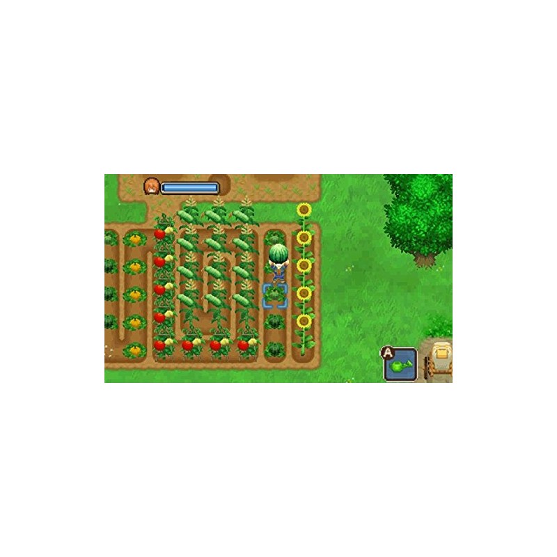 牧場物語 ふたごの村+ - 3DS