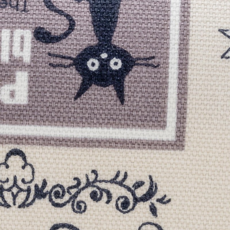 Pearl 092909 Glasses Case Semi Hard Case Magnetic Black Cat