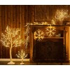 LITBLOOM Lighted Garland with Timer 120 LED Fairy Lights 6FT,