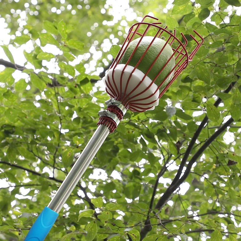 COCONUT Fruit Picker Tool, Fruit Picker Pole with Basket Height