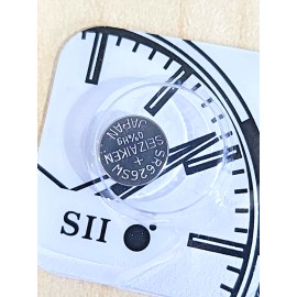 2 x FRESH Seiko/Seizaike<wbr/>n 377 376 SILVER OXIDE WATCH BATTERY SR626SW SR626W