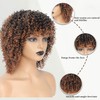 Fulang Hair Curly Wigs for Black Women Short Brown Curly