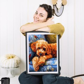 HMDIIMGE Diamond Painting Kits 5D Poodle Dog Sleeping On The Sofa Diamond Art with Accessories Tools Poodle Painting with Diamond Relaxation and Home Wall Decor 12x16 inch