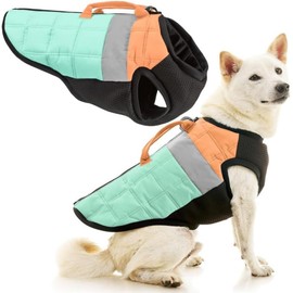 Gooby Bomber Vest Lift Dog Harness - Mint, X-Small