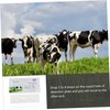 3 Pcs Pregnant Tester Horse Pregnancy Test Strip Livestock Pregnant