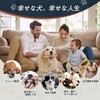 AUTAKI 犬 噛む おもちゃ コーヒー ウッドチュ― 犬 犬 おもちゃ 木