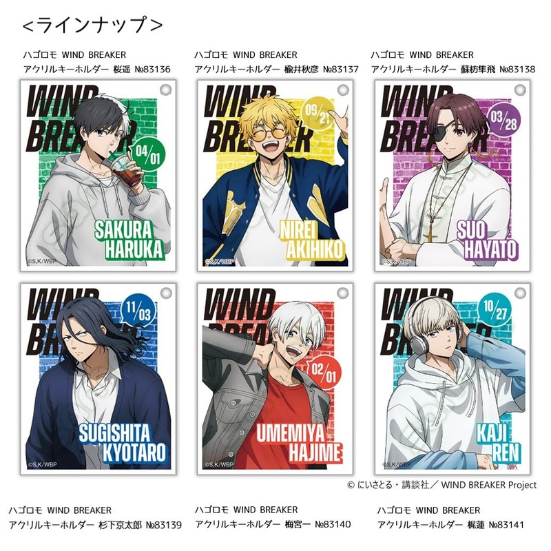 Hagoromo Wind Breaker Acrylic Key Holder, Haruka Sakura No. 83136