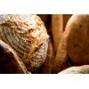 Heritage Sour SOURDOUGH STARTER DEHYDRATED ORGANIC SOUR EAST TENNESSEE -
