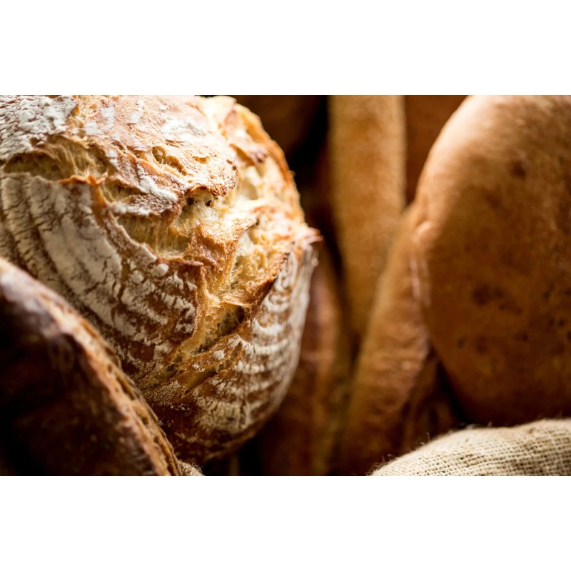 Heritage Sour SOURDOUGH STARTER DEHYDRATED ORGANIC SOUR EAST TENNESSEE -