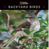 National Geographic: Backyard Birds 2024 Wall Calendar