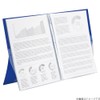 LIHIT LAB CUBEFIZZ N6003-10 Clear Book, Stand Type, A4, 20