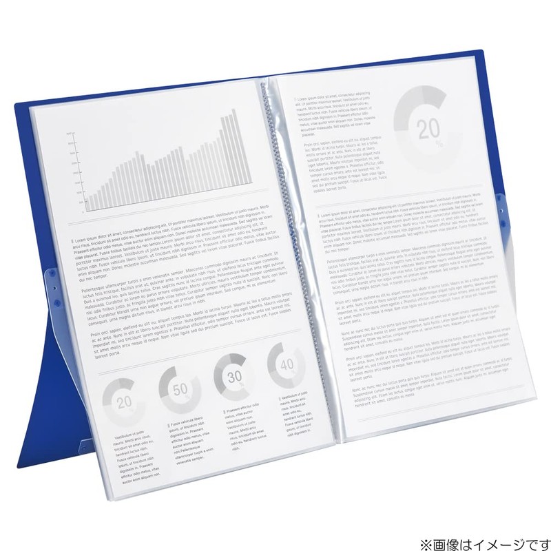 LIHIT LAB CUBEFIZZ N6003-10 Clear Book, Stand Type, A4, 20
