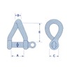 Twisted Shackle D Stainless Steel 4MM