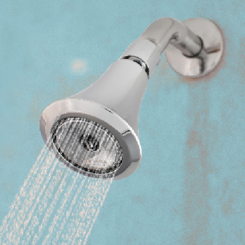 Niagara Conservation N2150-TP Luxury Spa 1-Spray with 1.5 GPM 2.35-in.