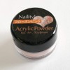 ネイリティ! ネイル用パウダー アクリルカラーパウダー フローズンピンク 3g
