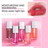 2 Set Lip Oil Hydrating Tinted Lip Balm, Plump Lip