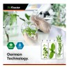 Bacopa Gotas Mejora Cognitiva Y Antiestrés 120ml Americano
