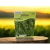 Livingston Georgia Southern Collards Garden Seeds 1.3G