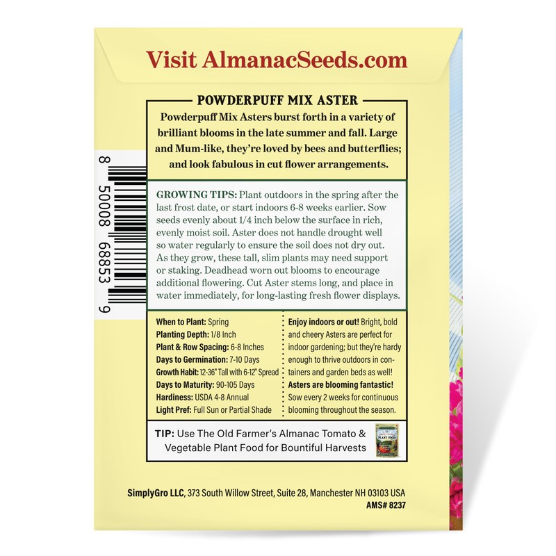 The Old Farmer's Almanac Aster Seeds (Powderpuff Mix) - Approx