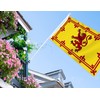 3×5 FT Scotland Rampant Lion Flag,Large Scottish Outdoor Banner,75D Scotsman