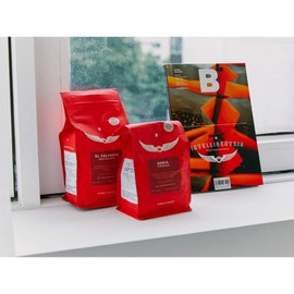 B Magazine : Intelligentsia