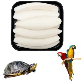 12 Pieces Cuttlefish Bone for Birds and Tortoises, Cuttlebone for Pets
