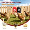 Crazydeer 2 Pack Chicken Grit and Oyster Shell Feeder, Metal