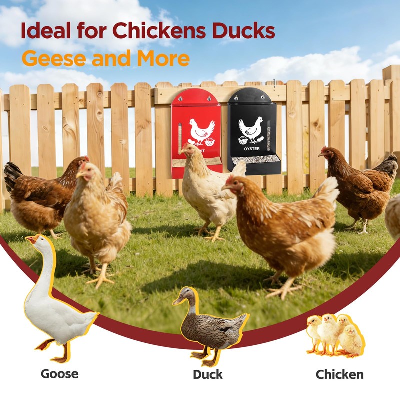 Crazydeer 2 Pack Chicken Grit and Oyster Shell Feeder, Metal
