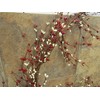 Gorgeous Primitive 55" Cream and RED Pip Rice Berry Garland