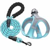 haapaw Dog Harness with Leash Set, No Pull Adjustable Reflective