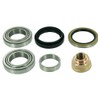SKF VKBA 3901 Wheel bearing kit