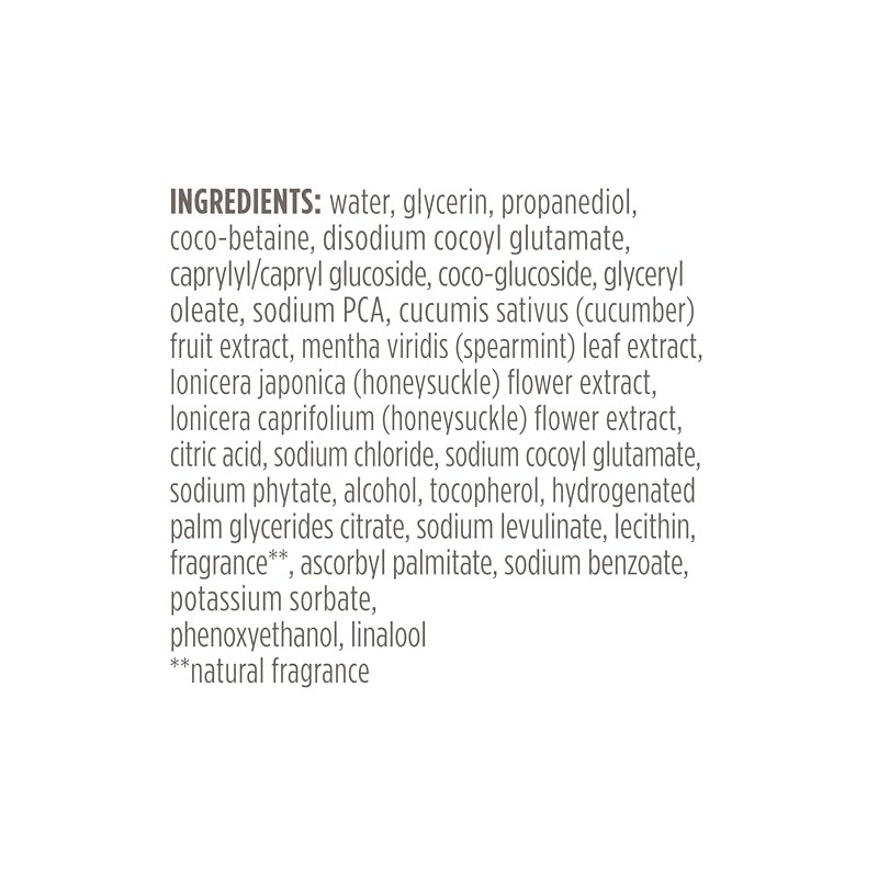 Burt Bees Skin Nourishment Gentle Foaming Cleanser For Normal Combination