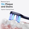 Marlincare Replacement Electric Toothbrush Heads, 4 Pack for One Year