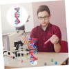 BESPORTBLE Self Assembling DNA Model Kit Interactive Science Educational Tool