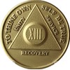 13 Year AA Medallion Traditional Bronze Raised Center Sobriety Chip