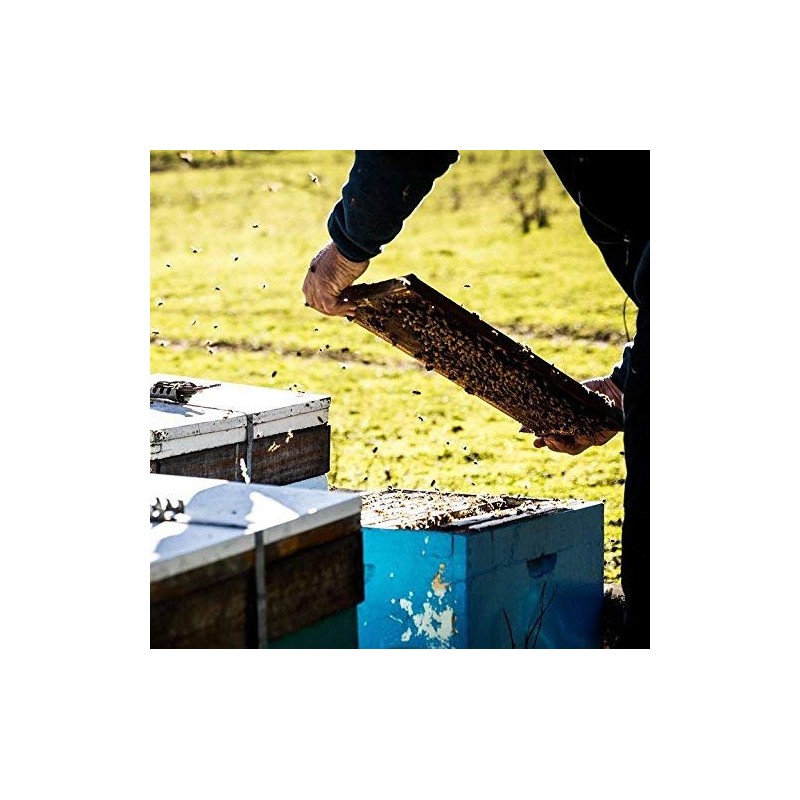 Tasmanian Learherwood RAW HONEY | Pure, Unheated, Unfiltered, Unpasteurized, and