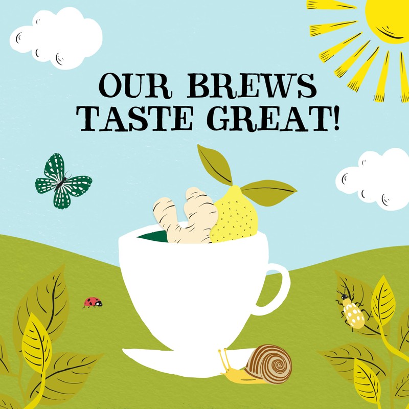Clipper Lemon & Ginger Tea 20 Bags