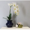 Whimsical Bumblebee Planter Pot (Medium)