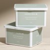 Hidden Olga Houttuynia cordata mask pack, 1 pack per day,