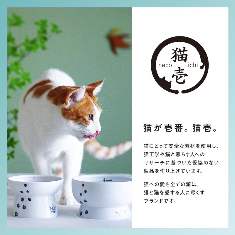 Nekoichi Cat Food Bowl with Legs, Mino Ware, Made in