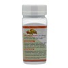 Gastrisan 90 Capsules/ 500 mg