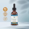 Native Remedies Mucus-Clear Jr. - Temporarily Relieves Common Cold Symptoms