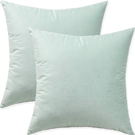Artaimee Celadon Throw Pillow Covers 18x18 Pack of 2 Velvet Sofa Bed Couch Cushion Case 45x45