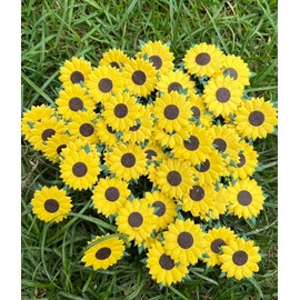 DUONGJAIS BRAND Sunflowers Mulberry Paper 1.25 x 1.25 inches 2 Layers Flower 50 Pcs Best for Scrapbooking Creative Craft Projects Mulberry Paper Flowers (Yellow)