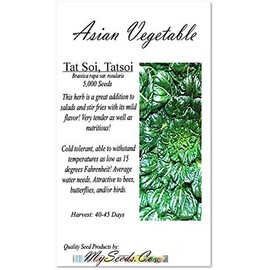 Big Pack - (5,000) Tat SOI Tatsoi Tah Tsai Spinach Seed - Chinese Vegetable - Non-GMO Seeds by MySeeds.Co (Big Pack - Tat SOI)