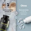 Fibra de Psyllium Husk (Plantago Ovata) 240 Cápsulas 2000 mg